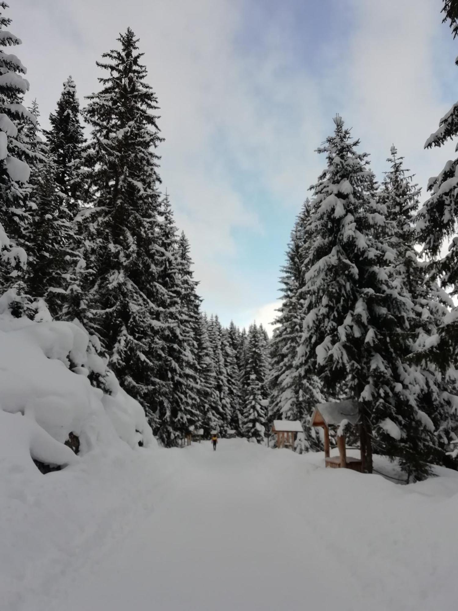 Chalet Kovacevic Жабляк Экстерьер фото
